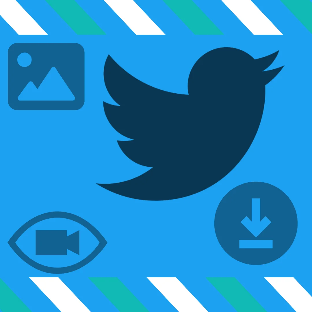 Fast and Free Twitter Video Downloader